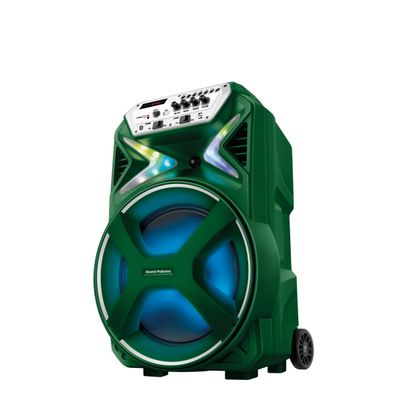 Caixa Amplificada Palmeiras CMPA-01 Bivolt