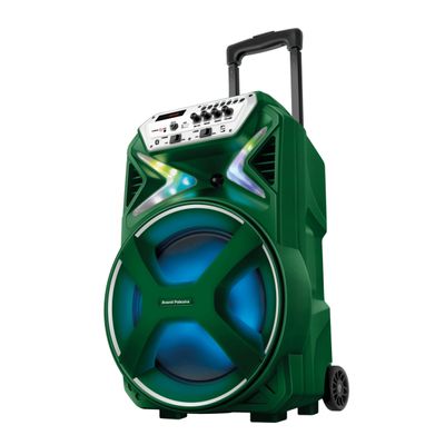 Caixa Amplificada Palmeiras CMPA-01 Bivolt