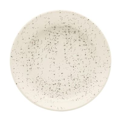 Jogo De Jantar 30 Peças Chá Chuvisco Porcelana Oxford