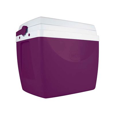 Caixa Térmica 34 Litros Açaí