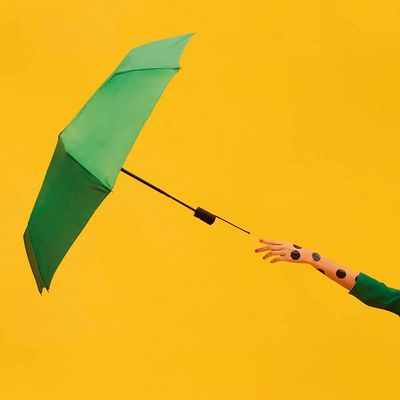 Sombrinha Joy Sortida - Verde