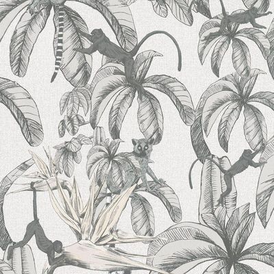 Papel De Parede Imagine Lemur 32651 Rolo 10m X 0,53m