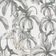 Papel De Parede Imagine Lemur 32651 Rolo 10m X 0,53m