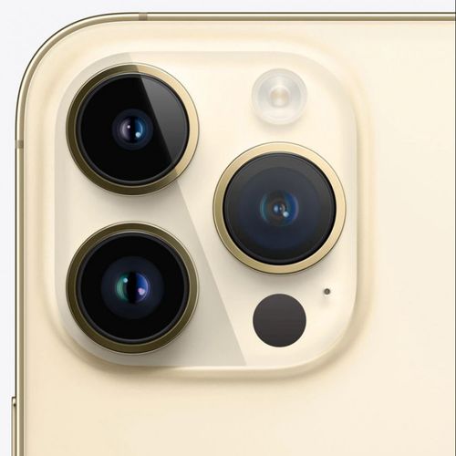 16932420501558