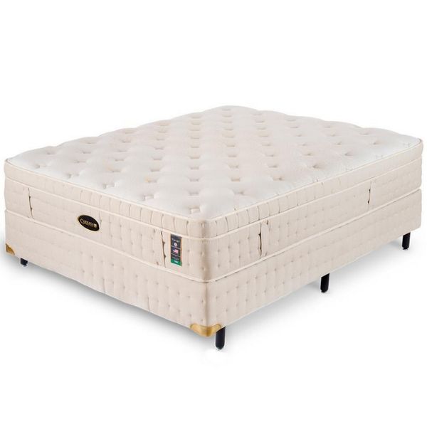 16934961667838 16934961667838