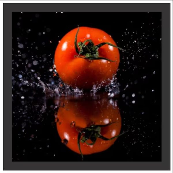 16934899137906 16934899137906