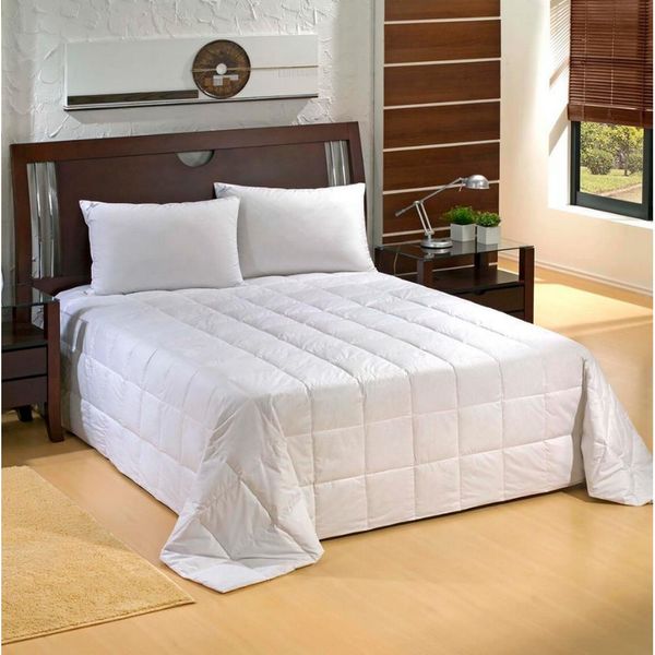 16938302625482 16938302625482