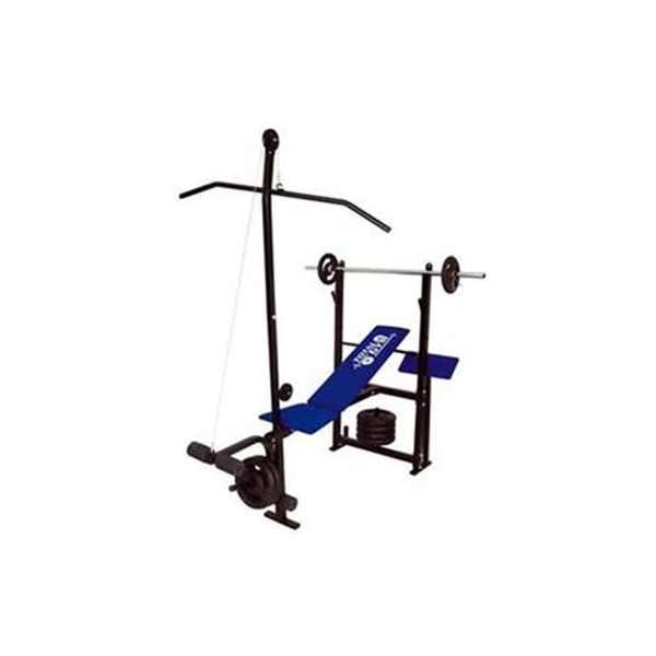 Academia Particular Total GYM com 2 Anilhas de 2 Kg Preto e Azul