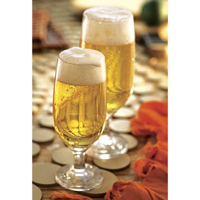 Conjunto de Taças para Cerveja Nadir Floripa 300 ml 6 Peças Transparente