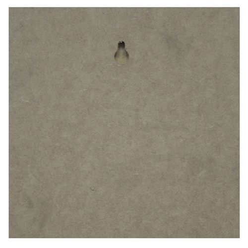 16935904491648
