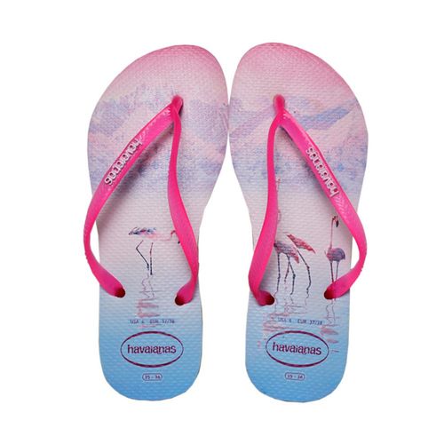 5105683_00000_01 5105683_00000_01