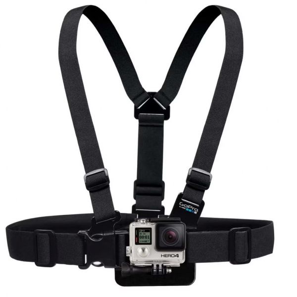 16939424565506 16939424565506