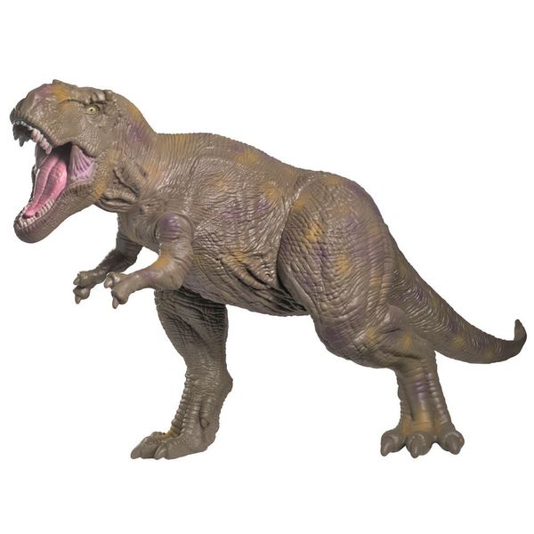 16939398023764 16939398023764