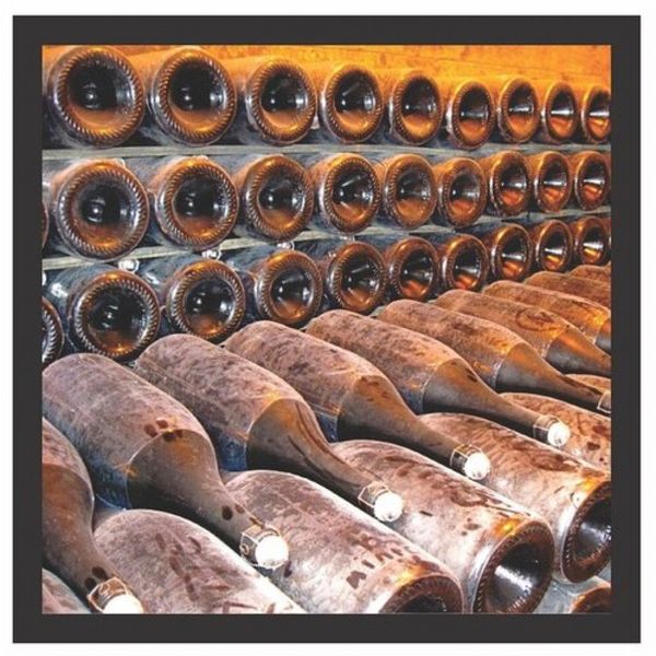 16935905834698 16935905834698