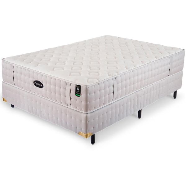 16938279578597 16938279578597