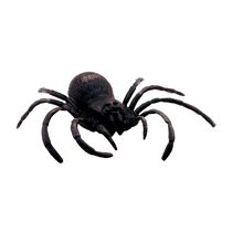 Aranha Decorativa Brasilflex