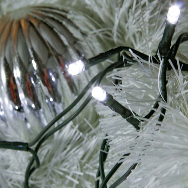 16945448090921 16945448090921