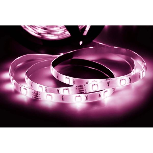 16945264441528 16945264441528