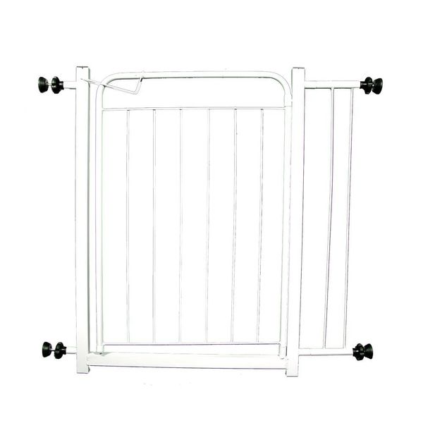 16940377344271 16940377344271