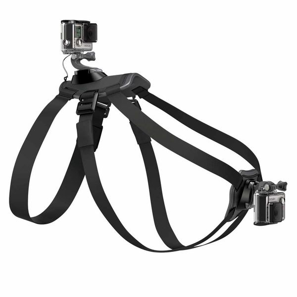 16946065436954 16946065436954