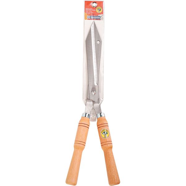 16940595668231 16940595668231