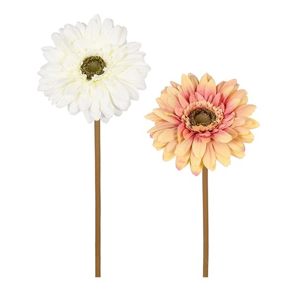 Haste de Gerbera Grillo Outonada - Item Sortido Haste de Gerbera Grillo Outonada - Item Sortido