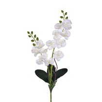 Haste de Orquídea Grillo X2 em Cetim Branca