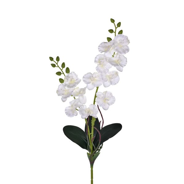 Haste de Orquídea Grillo X2 em Cetim Branca Haste de Orquídea Grillo X2 em Cetim Branca