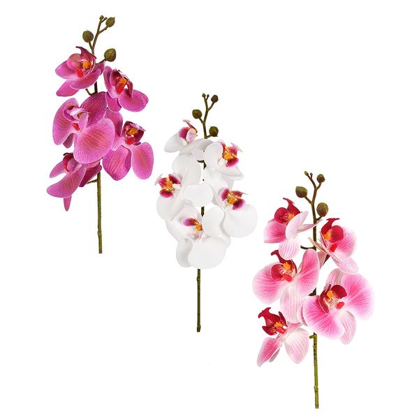 Haste de Orquídea Phalaenopsis 3D Grillo X5 - Item Sortido