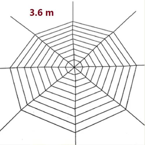 17406191354299