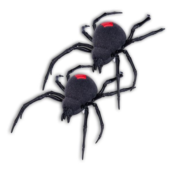 17090752653643 17090752653643