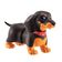 KIT Pets Alive - Booty Shakin Pups - Corgi  + Dachshund