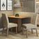 Conjunto Sala De Jantar Mesa Tampo De Madeira 2 Cadeiras Ru