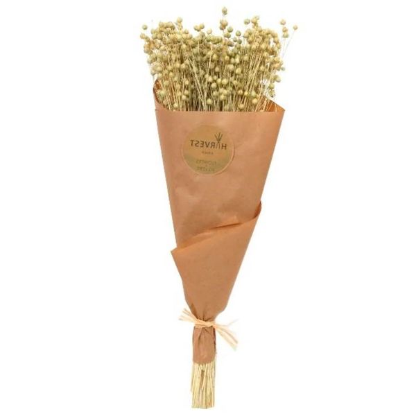 Buquê de Flores Cazza Dry Decor 50cm - Item Sortido