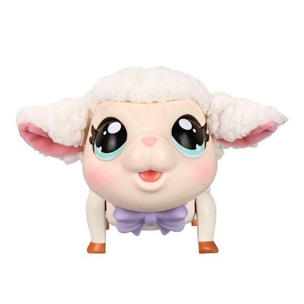 17134597622637 17134597622637