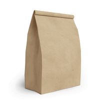 Saco Kraft Zagarollo para Delivery 24x10,5x33cm com 10 Unidades