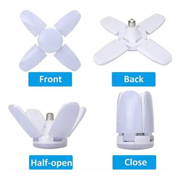 17399855780781 17399855780781