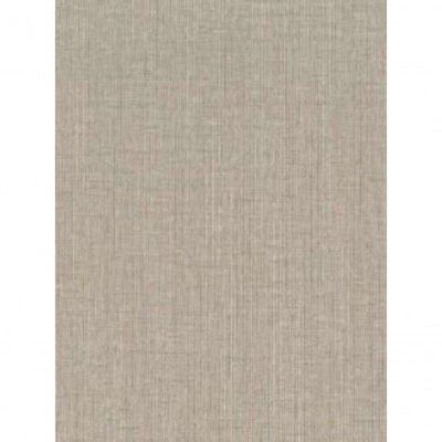 Papel De Parede Max Textura Marrom Ct11409
