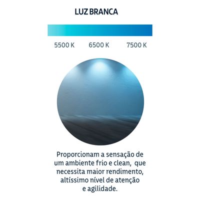 Lâmpada LED Tramontina Alta Potência Base E27 50 W Bivolt 6500 K Luz Branca