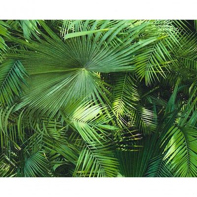 Papel De Parede Wood'n Stone 2 362001 Rolo 10m X 0,53m