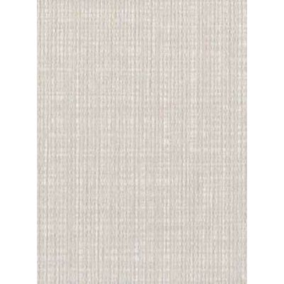 Papel de Parede Max Textura Branco CT11302