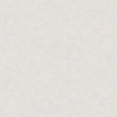 Papel de Parede Nature Cimento Queimado Cinza TONU8003
