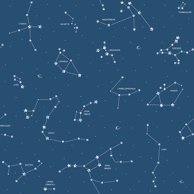 Papel de Parede Pippo Constellation 3361-1 Pippo 3361-1