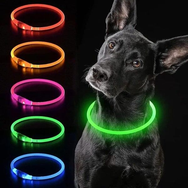 Coleira LED para Cães e Gatos com Luz USB e 3 Modos 35CM / amarelo