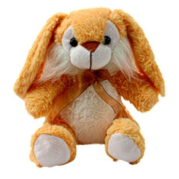 16943864010596 16943864010596