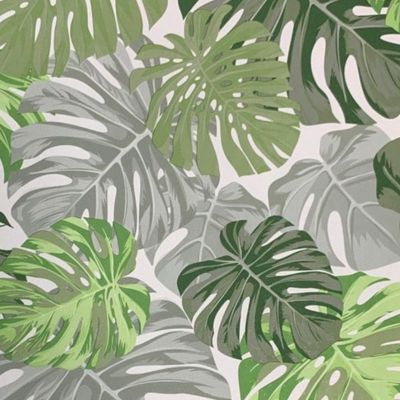 Papel de Parede Santorini Folhagem Verde SN42