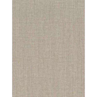 Papel de Parede Max Textura Marrom CT11409