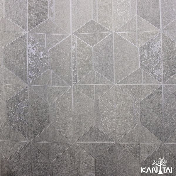 17169870494264 17169870494264