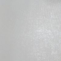 17169870485491