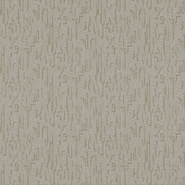 17169867623807 17169867623807